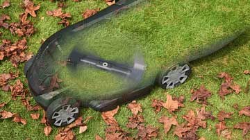 The LeafCollect blade cuts grass perfectly and also collects leaves from the lawn