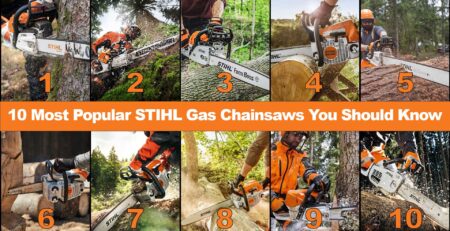 10 Most Popular STIHL Gas Chainsaws You Should Know