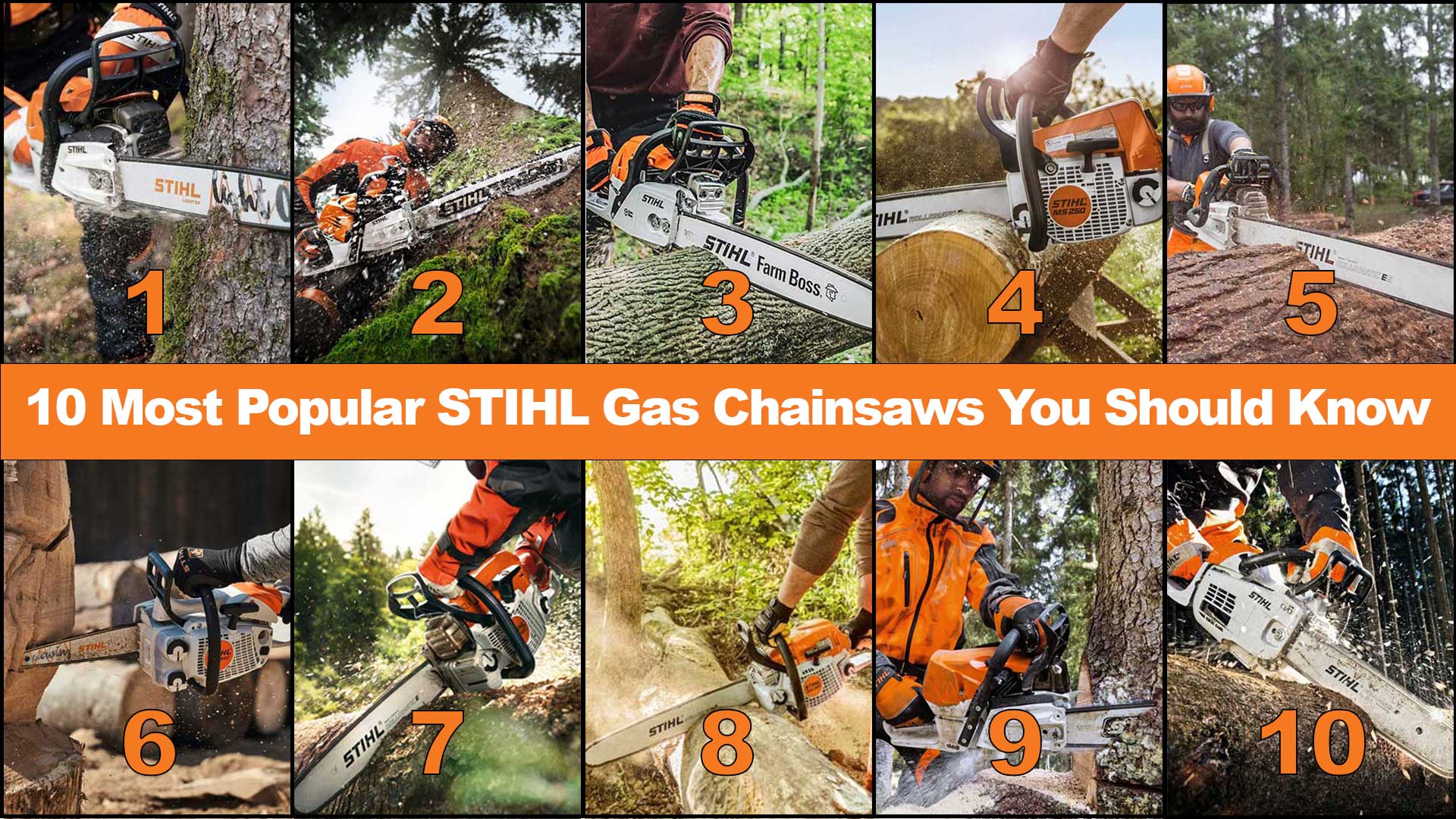 10 Most Popular STIHL Gas Chainsaws You Should Know